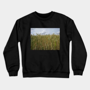 Farm View Crewneck Sweatshirt